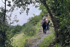 Wandertage_Mosel_2025_2_00009