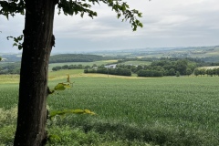 Wandertage_Mosel_2025_2_00019