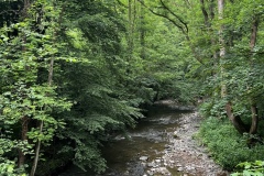 Wandertage_Mosel_2025_2_00025