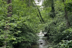 Wandertage_Mosel_2025_2_00026