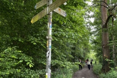 Wandertage_Mosel_2025_2_00027