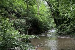 Wandertage_Mosel_2025_2_00029