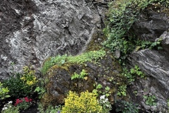 Wandertage_Mosel_2025_2_00042