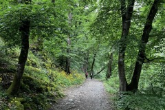 Wandertage_Mosel_2025_2_00051