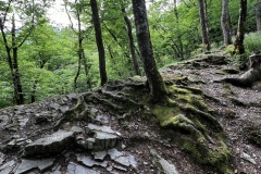 Wandertage_Mosel_2025_2_00052