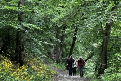 Wandertage_Mosel_2025_2_00053