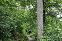 Wandertage_Mosel_2025_2_00054