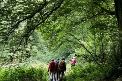 Wandertage_Mosel_2025_2_00056
