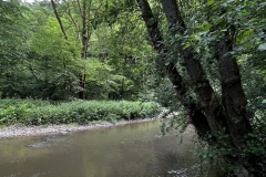 Wandertage_Mosel_2025_2_00058