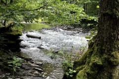 Wandertage_Mosel_2025_2_00060