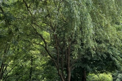 Wandertage_Mosel_2025_2_00061