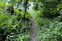 Wandertage_Mosel_2025_2_00069