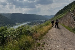 Wandertage_Mosel_2025_2_00071