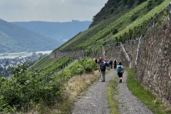 Wandertage_Mosel_2025_2_00072