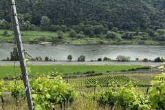 Wandertage_Mosel_2025_2_00074
