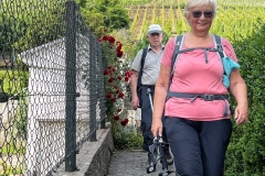 Wandertage_Mosel_2025_2_00076