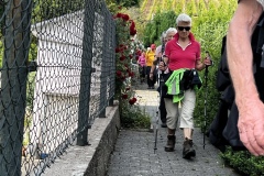 Wandertage_Mosel_2025_2_00077