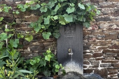 Wandertage_Mosel_2025_3_00010