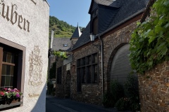 Wandertage_Mosel_2025_3_00011