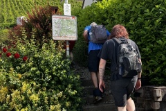 Wandertage_Mosel_2025_3_00014