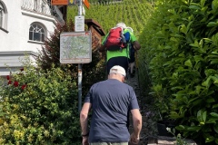 Wandertage_Mosel_2025_3_00015