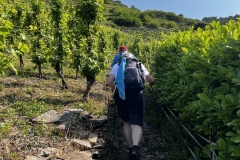 Wandertage_Mosel_2025_3_00016