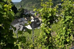 Wandertage_Mosel_2025_3_00017