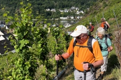 Wandertage_Mosel_2025_3_00018