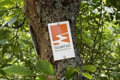 Wandertage_Mosel_2025_3_00022