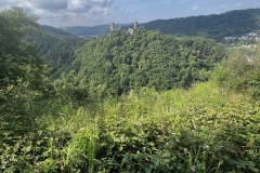 Wandertage_Mosel_2025_3_00023