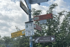 Wandertage_Mosel_2025_3_00025