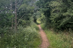 Wandertage_Mosel_2025_3_00028