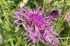 Wandertage_Mosel_2025_3_00033