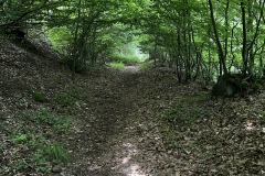 Wandertage_Mosel_2025_3_00036