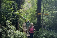 Wandertage_Mosel_2025_3_00039