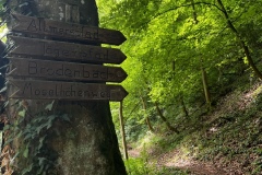 Wandertage_Mosel_2025_3_00040