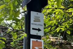 Wandertage_Mosel_2025_3_00056
