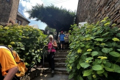 Wandertage_Mosel_2025_3_00060