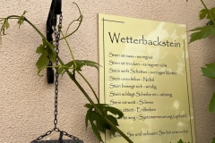 Wandertage_Mosel_2025_3_00063