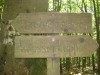 Wandertage_Rhoen_2020_1_19