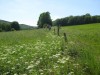 Wandertage_Rhoen_2020_1_21
