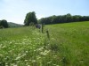 Wandertage_Rhoen_2020_1_22