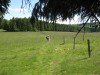 Wandertage_Rhoen_2020_2_16