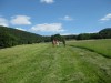 Wandertage_Rhoen_2020_2_23