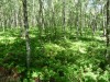 Wandertage_Rhoen_2020_2_31