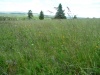 Wandertage_Rhoen_2020_2_39