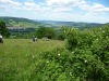 Wandertage_Rhoen_2020_2_56
