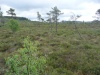 Wandertage_Rhoen_2020_3_41