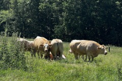 Wandertage_Rhoen_2024_1_00025