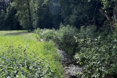 Wandertage_Rhoen_2024_1_00032